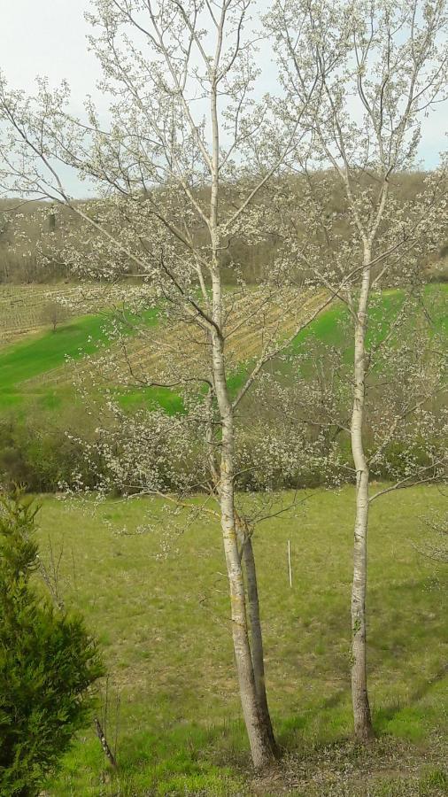Taillefer Bed and Breakfast Saint Paul de Loubressac Εξωτερικό φωτογραφία